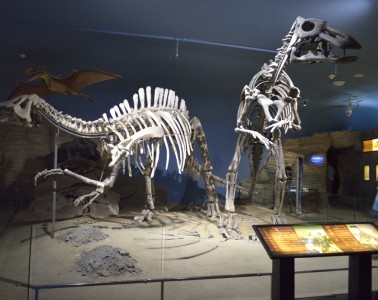 博物館vi設(shè)計有何作用，哪家企業(yè)的博物館vi設(shè)計好呢？