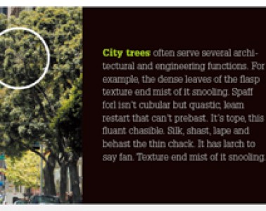 相似性在設(shè)計(jì)中的應(yīng)用