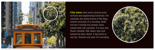 公司畫(huà)冊(cè)設(shè)計(jì)